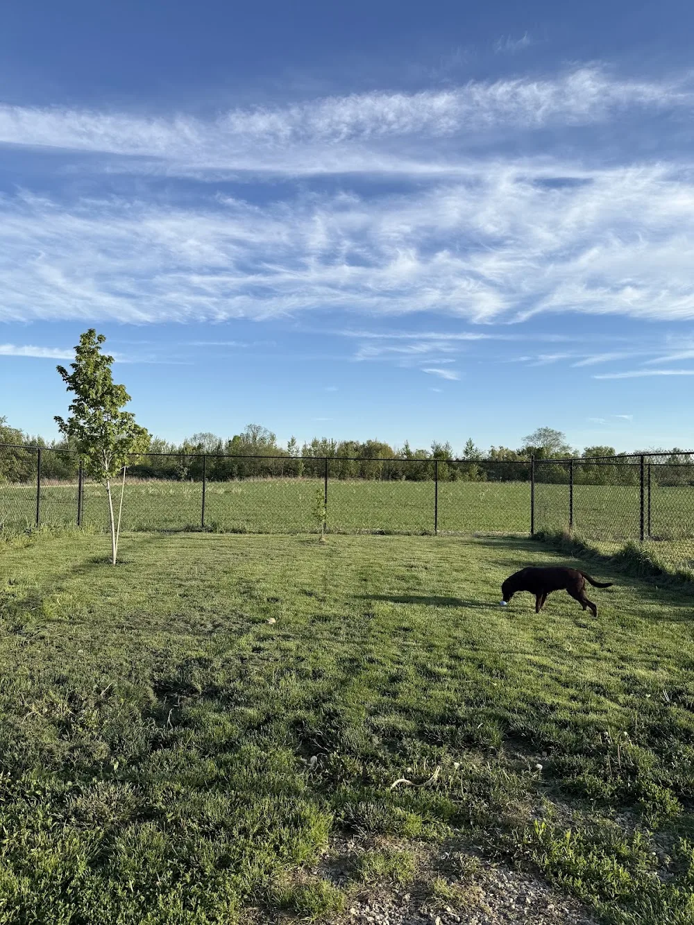 Pointer Hill Kennel - Ontario pet otel görseli 3