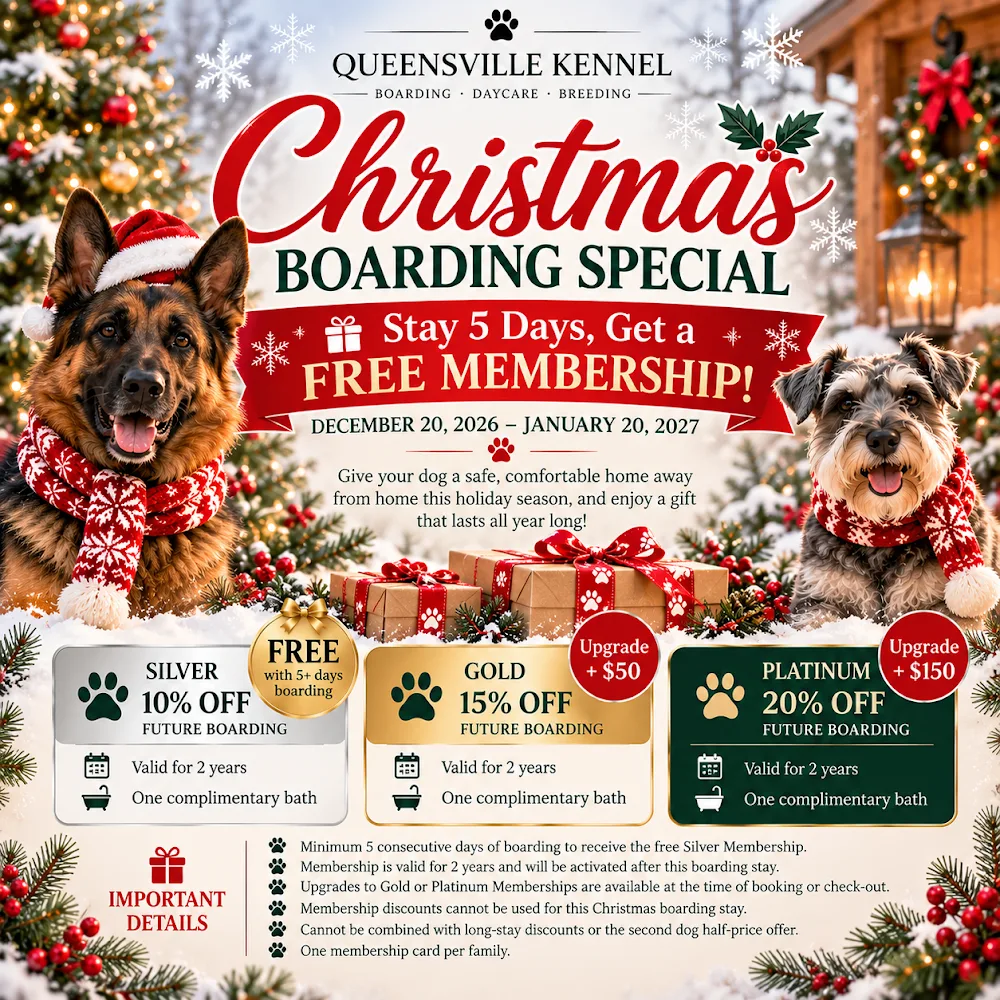 Queensville Kennel Inc - Ontario pet otel görseli 3
