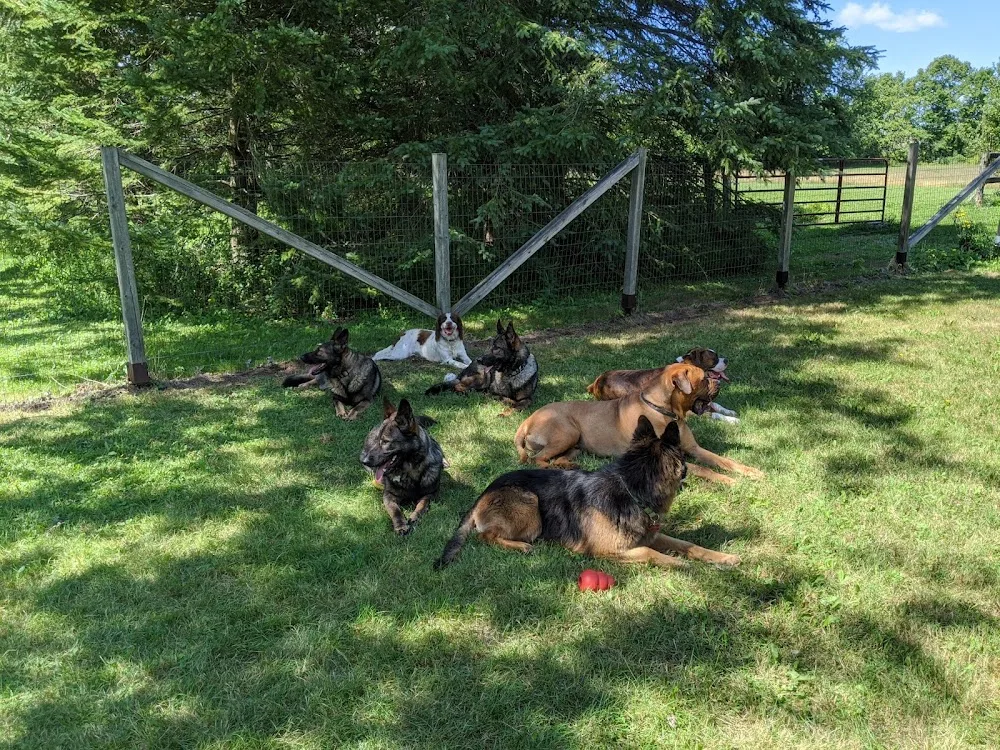 Stoneridge Boarding Kennel - Ontario pet otel