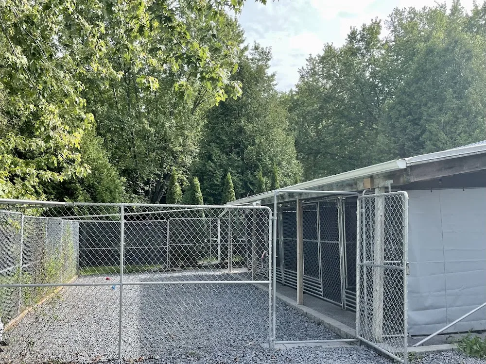 Stoneridge Boarding Kennel - Ontario pet otel görseli 3
