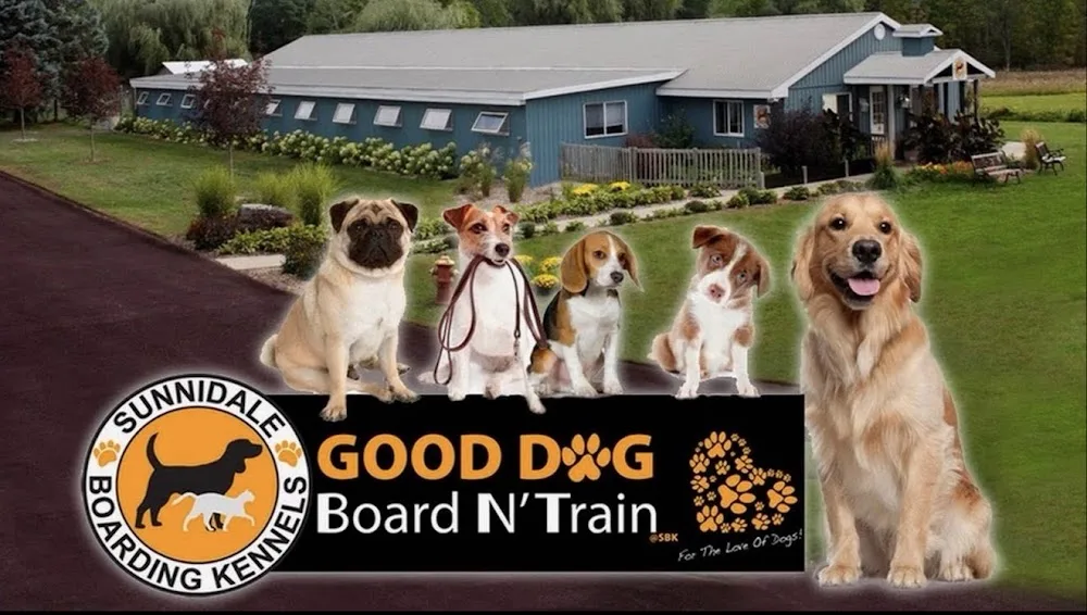 Sunnidale Boarding Kennels - Ontario pet otel