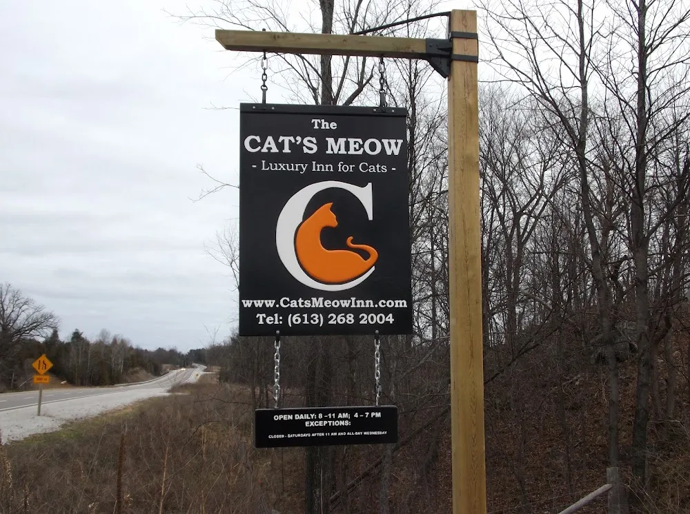 The Cat's Meow Inn - Ontario pet otel görseli 3
