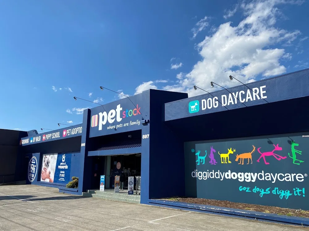 Brighton East Diggiddy Doggy Daycare - Ormond pet otel