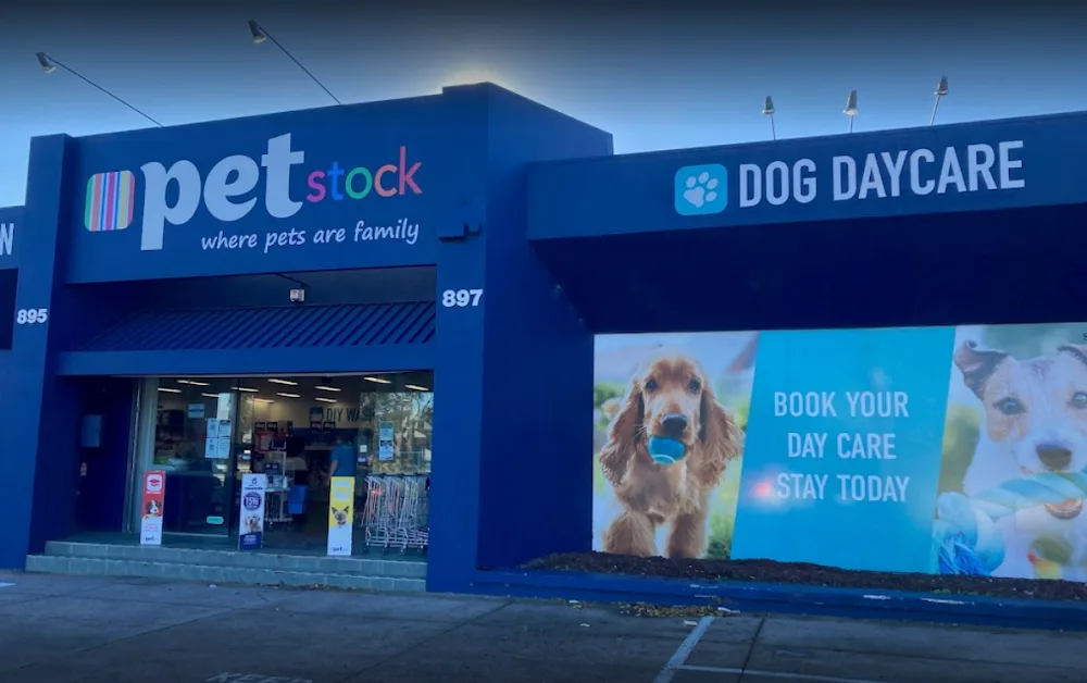 Brighton East Diggiddy Doggy Daycare - Ormond pet otel görseli 3