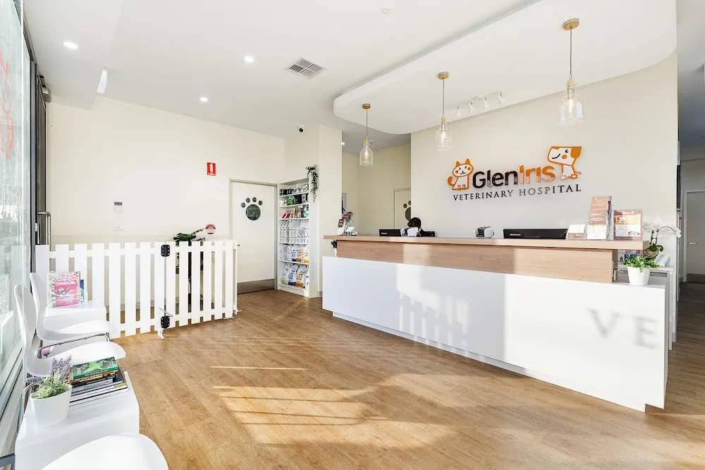 Glen Iris Veterinary Hospital & Cattery - Ormond pet otel görseli 2