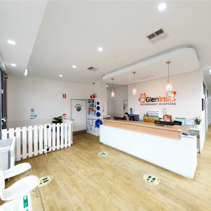 Glen Iris Veterinary Hospital & Cattery - Ormond pet otel görseli 3