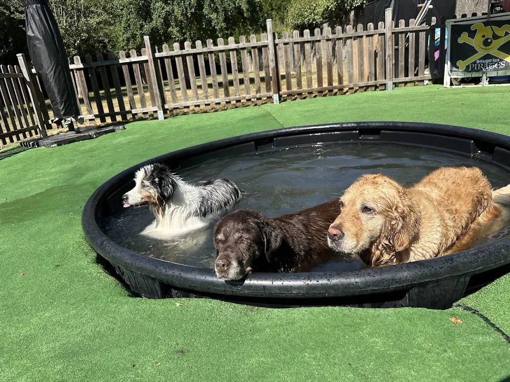 Bouge tes Puces - Orne pet otel