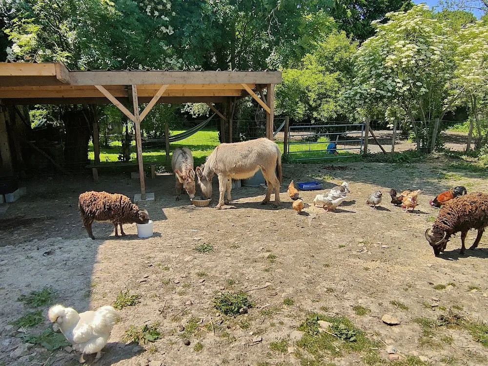 Garde d'animaux Florence MALLET - Orne pet otel