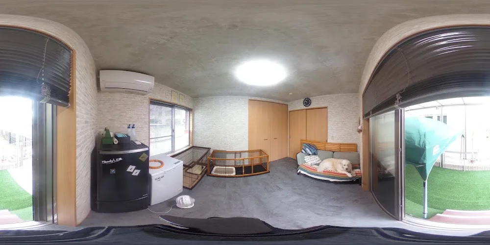DOGHOTEL GIGLIO - Osaka pet otel görseli 3