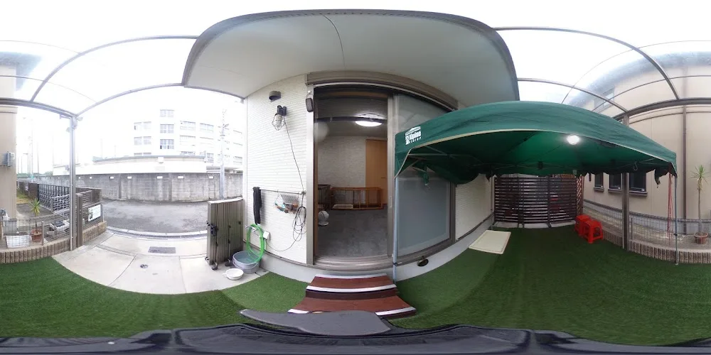 DOGHOTEL GIGLIO - Osaka pet otel görseli 4