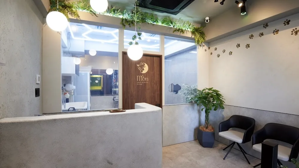 MOON SALON de HOTEL for dogs - Osaka pet otel