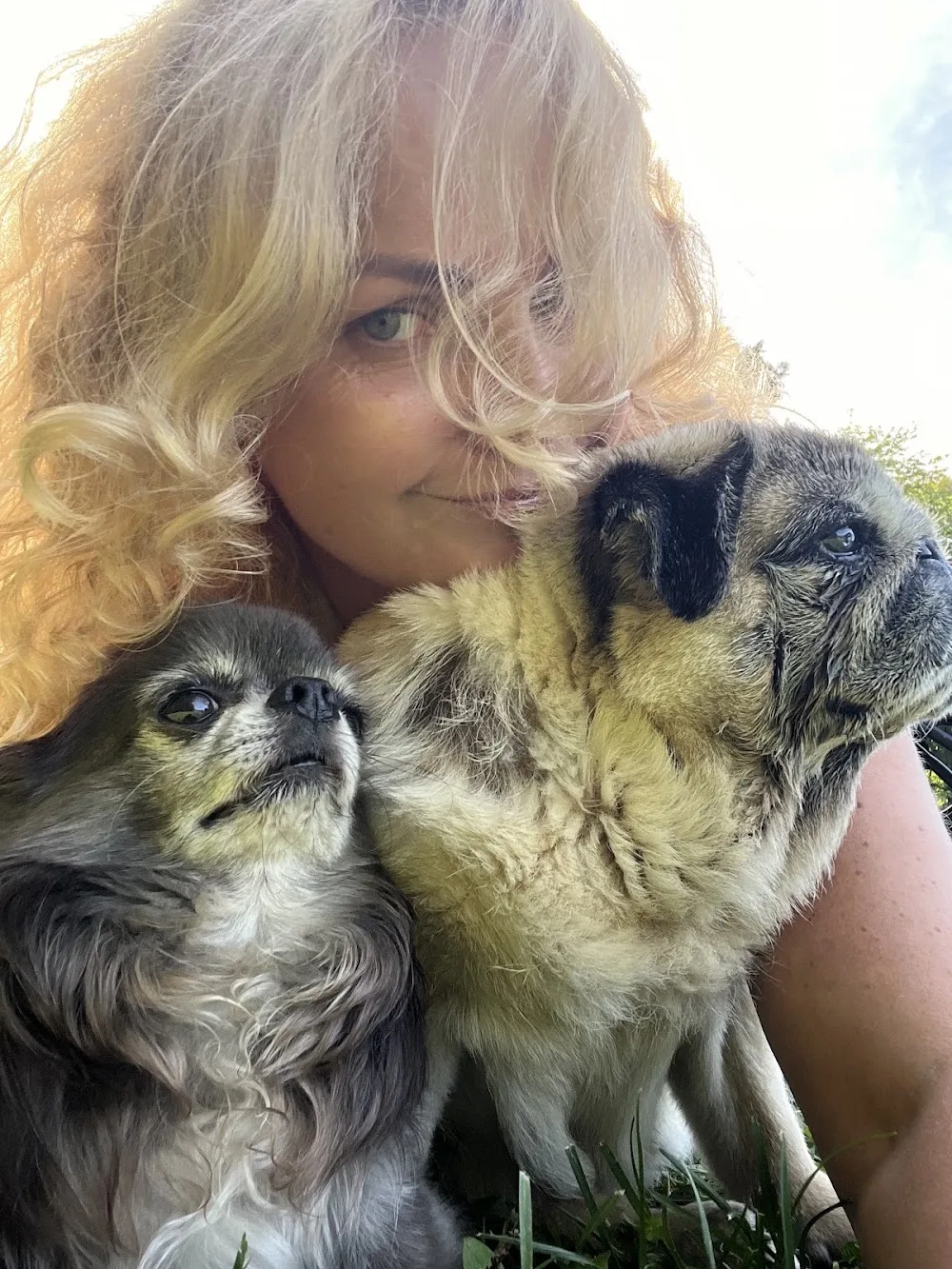 Cuddle Bay - Pet Care Izabela Dec - Oslo pet otel