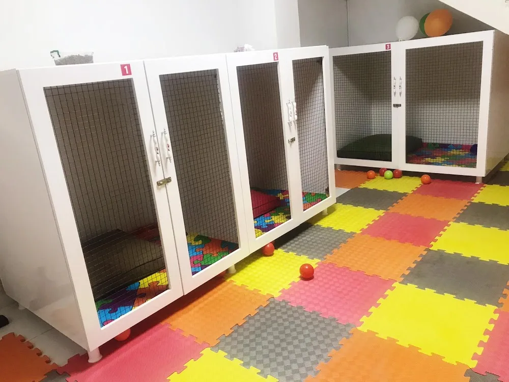 Pati Pet Evcil Hayvan Oteli - Osmaniye pet otel görseli 6