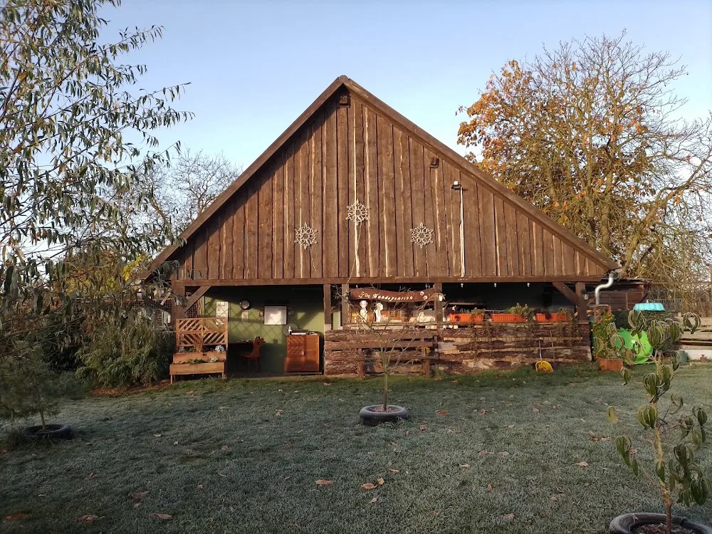 WieWau Hundetraining und -Pension - Osterburg (Altmark) pet otel