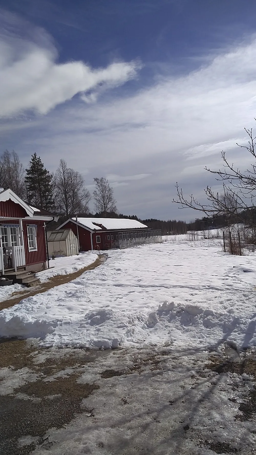 Askeby Kattpensionat - Östergötland pet otel görseli 3