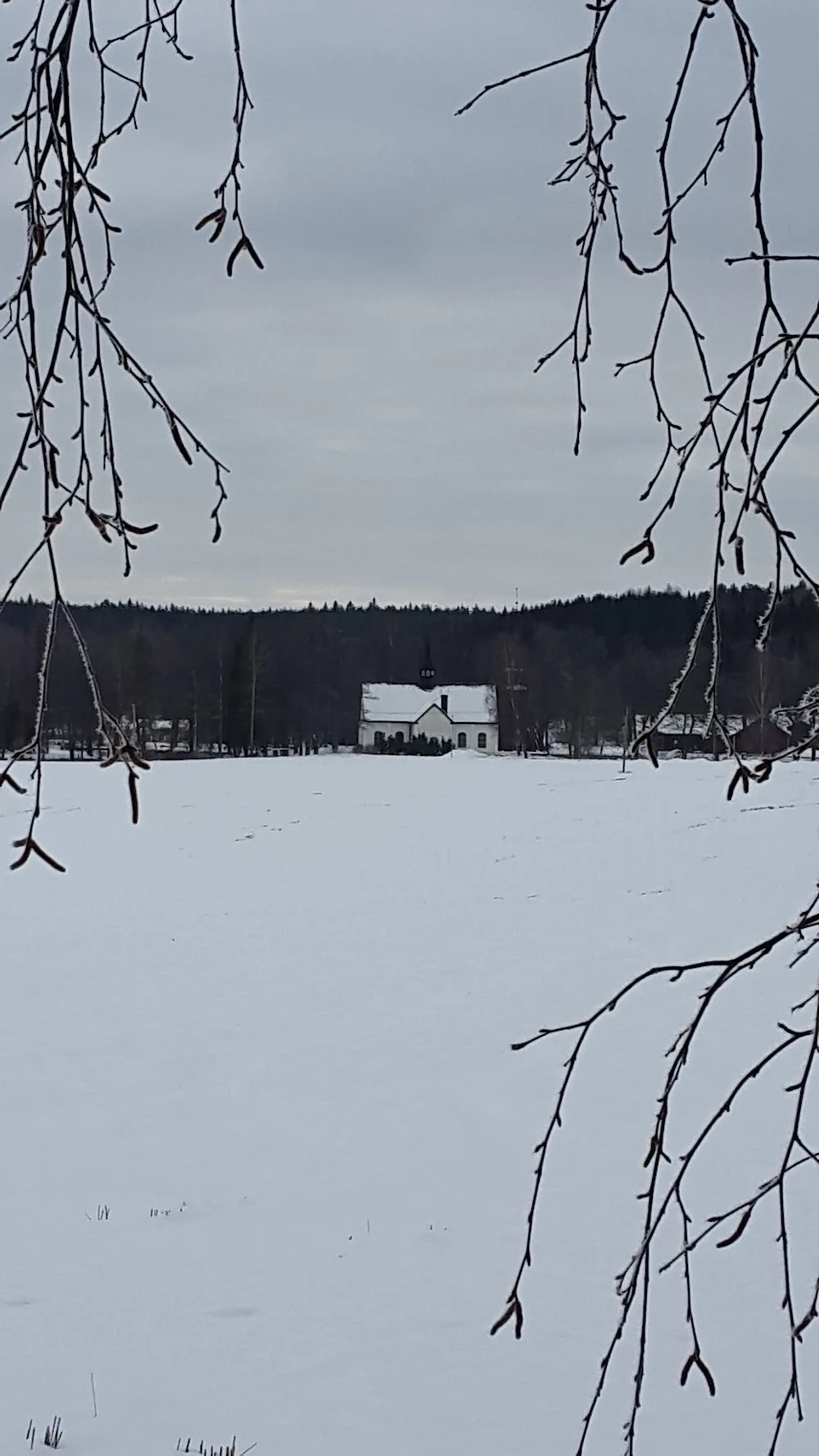 Björkåsens Hundhotell - Östergötland pet otel görseli 3