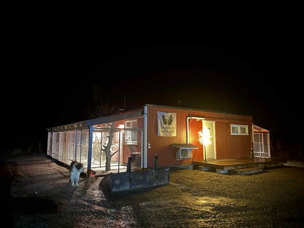 Gibraltars katthotell - Östergötland pet otel görseli 3