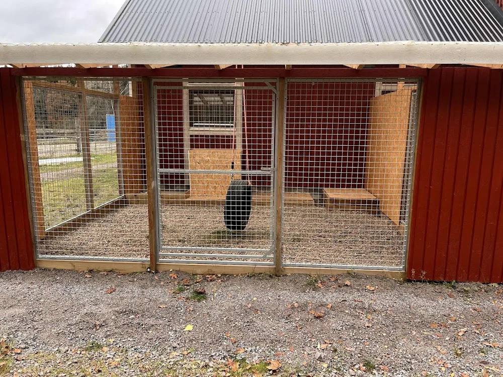 Kareby Hills Kennel och Hundpensionat - Östergötland pet otel görseli 2