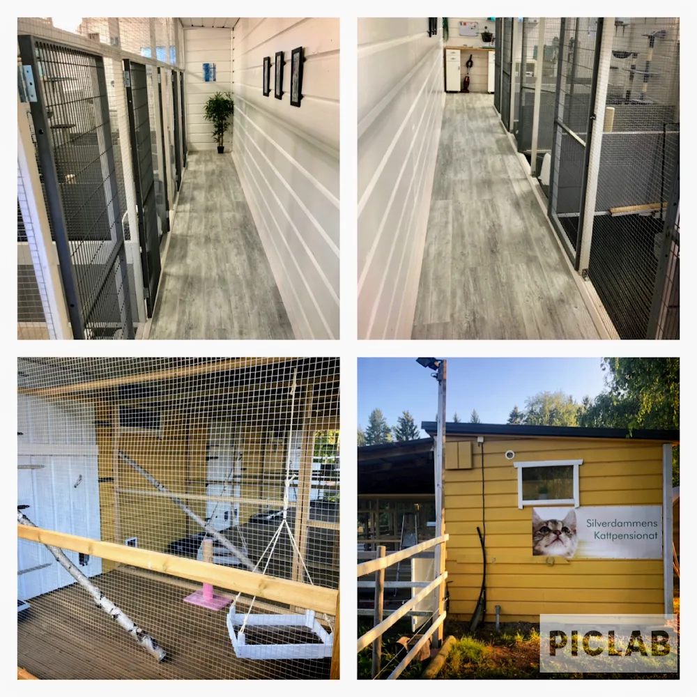 Silverdammens Kattpensionat - Östergötland pet otel
