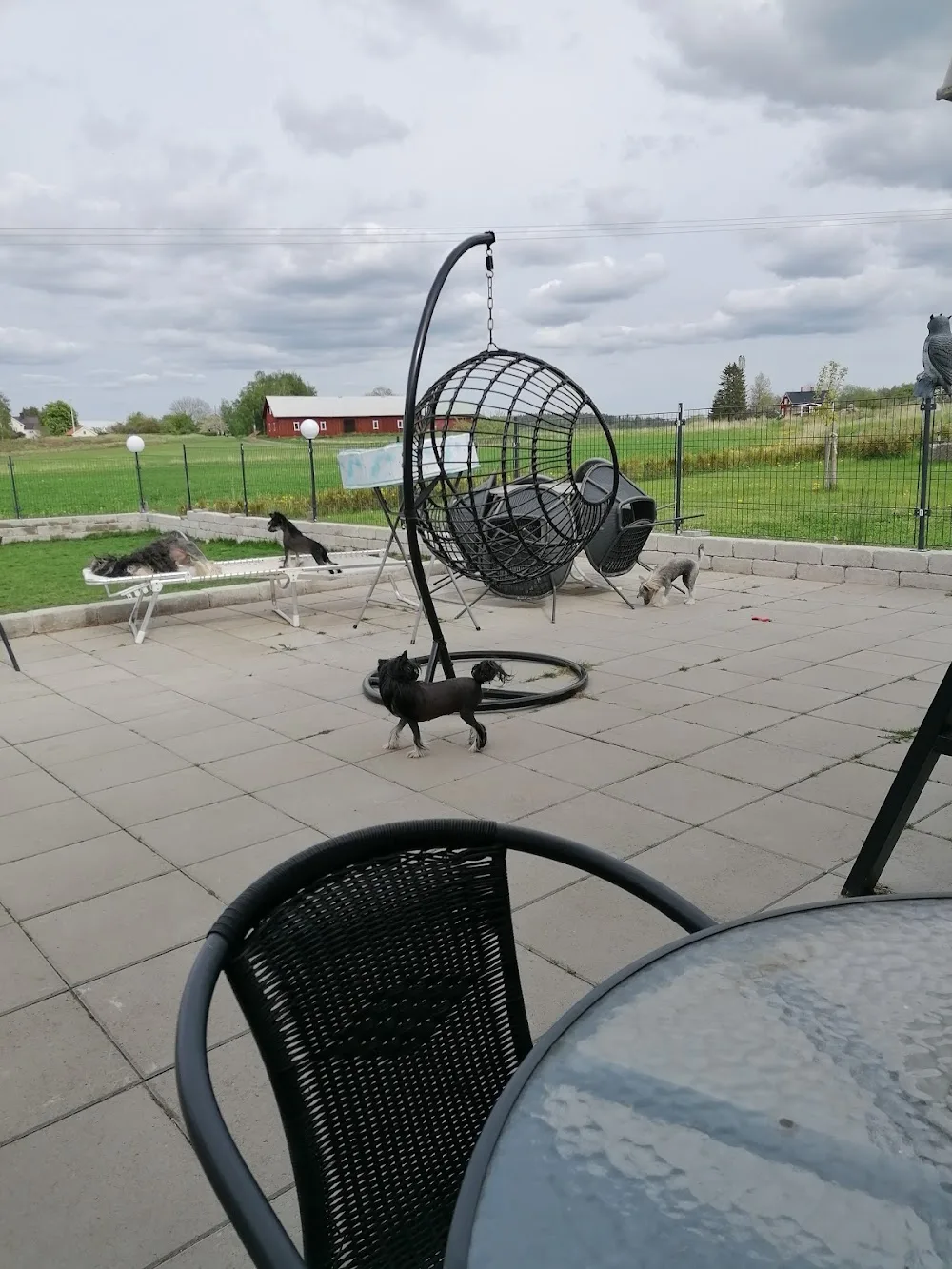 Smedbys Kennel - Östergötland pet otel görseli 3