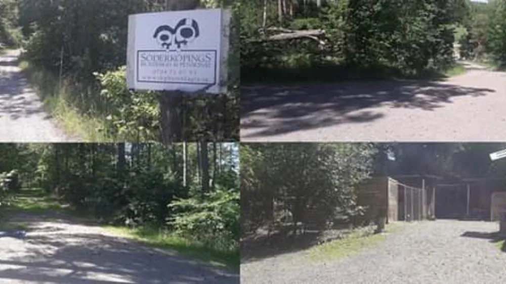 Söderköpings Hunddagis & Pensionat AB - Östergötland pet otel görseli 2