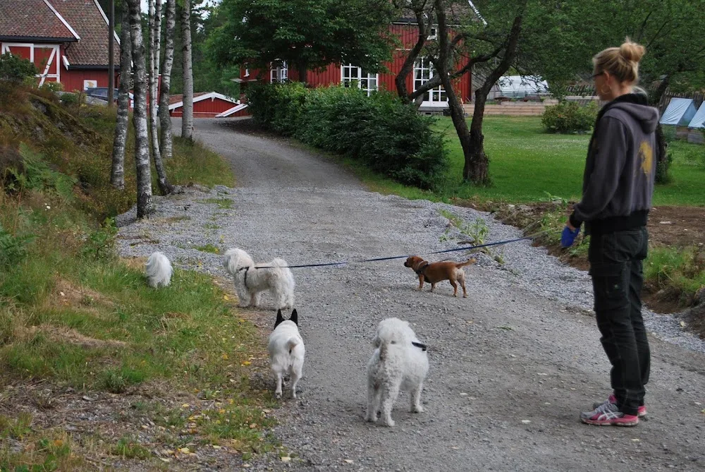Engene Gård Animal Boarding and Stable - Østfold pet otel