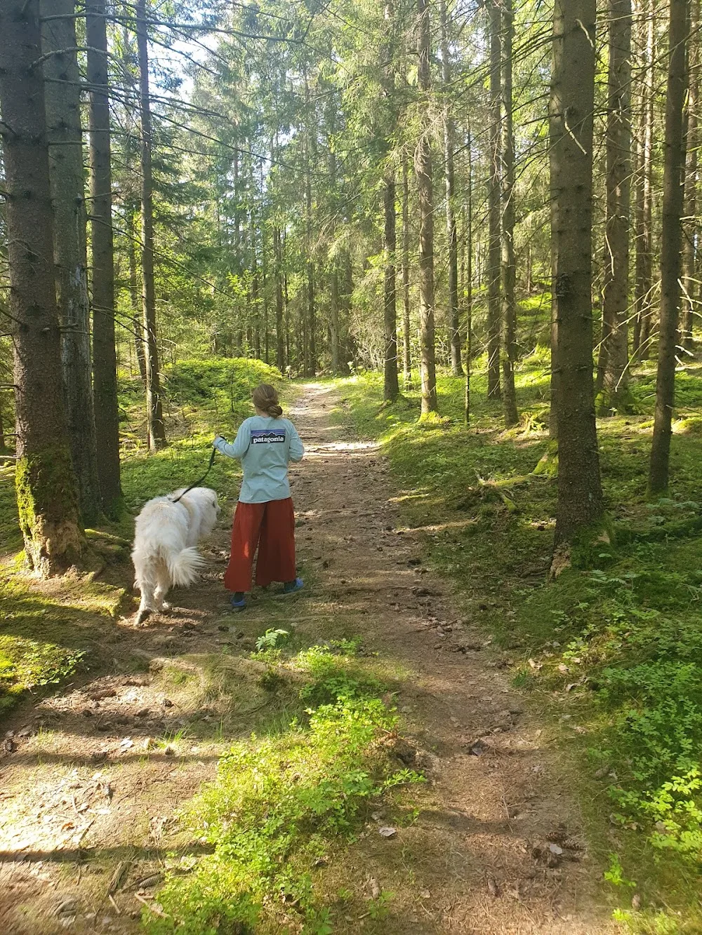 Skiptvet Dyrepensjonat - Østfold pet otel görseli 2