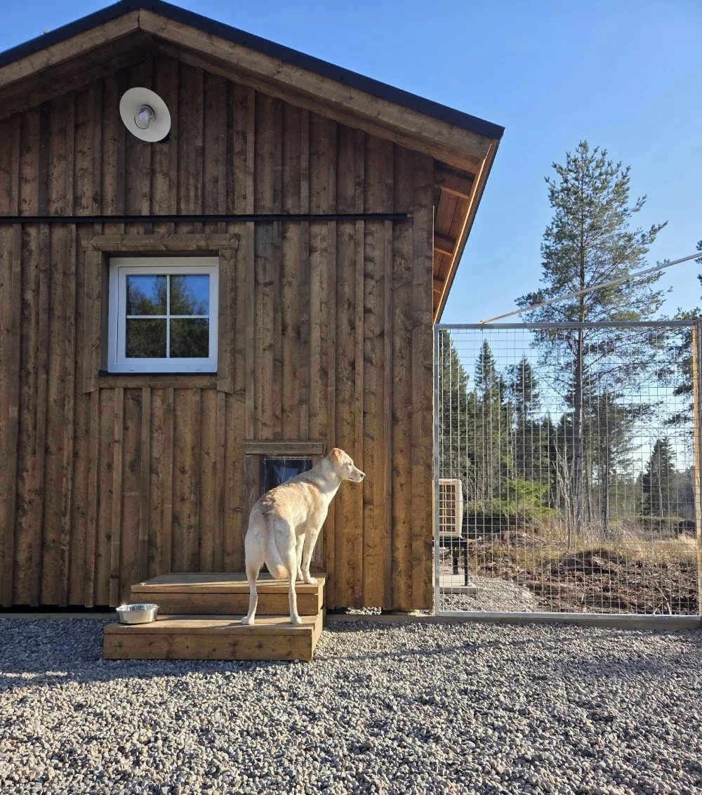 Holmbackens hundpensionat - Ostrobothnia pet otel görseli 3