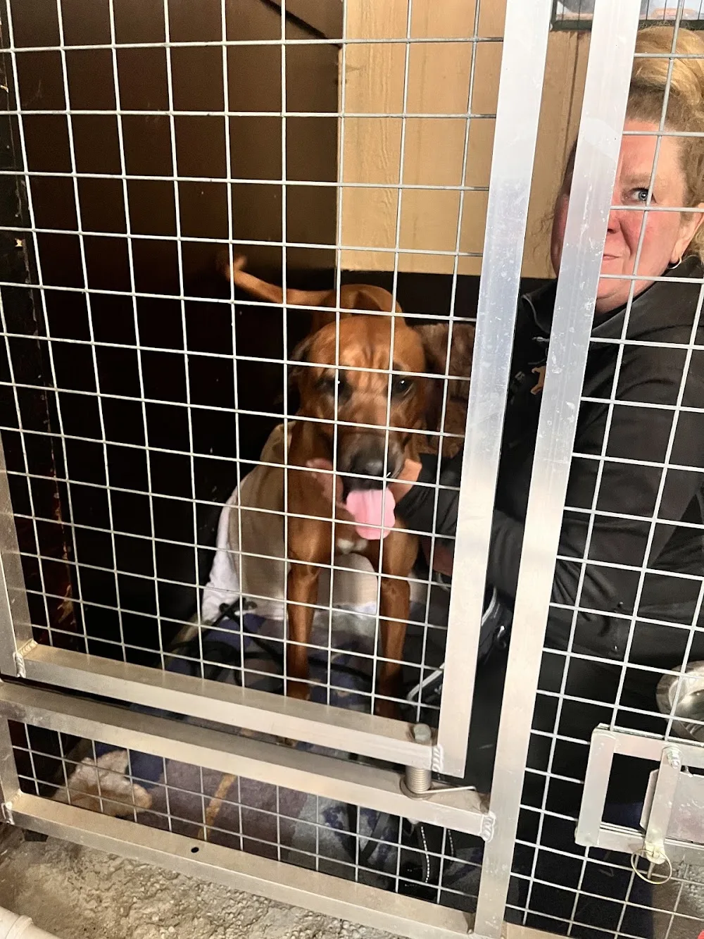 Isojoen Eläinhoitola - Ostrobothnia pet otel görseli 3