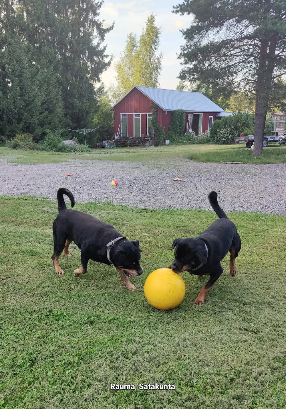 Lemmikkihoitola Tassumaja - Ostrobothnia pet otel