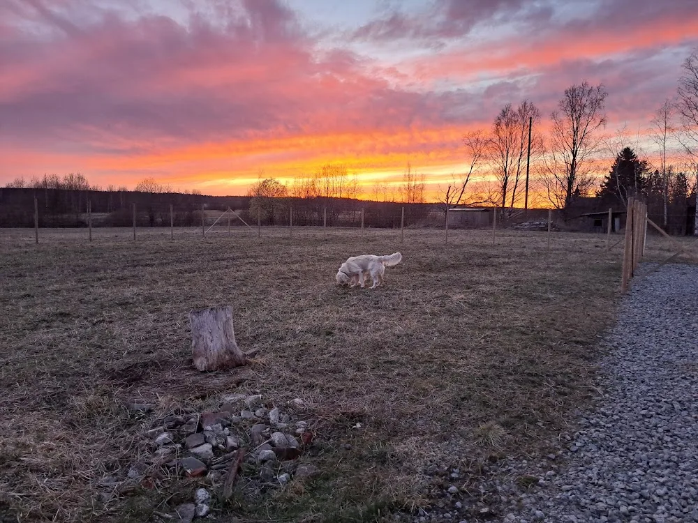 Lemmikkipalvelu Paimenpoika - Ostrobothnia pet otel görseli 3