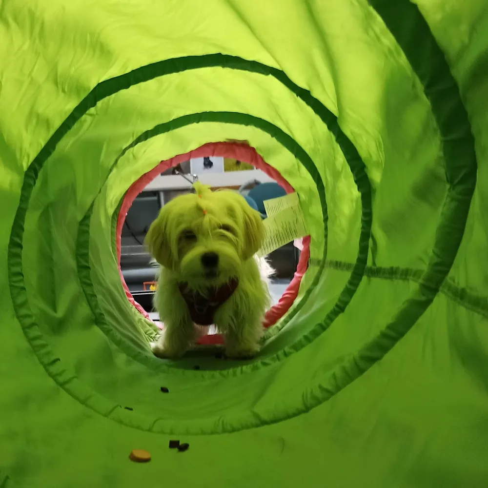 Tmi Satu Mäki - Ostrobothnia pet otel görseli 5