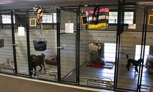 Tuhnulan koirahoitola-hundpensionat - Ostrobothnia pet otel görseli 3