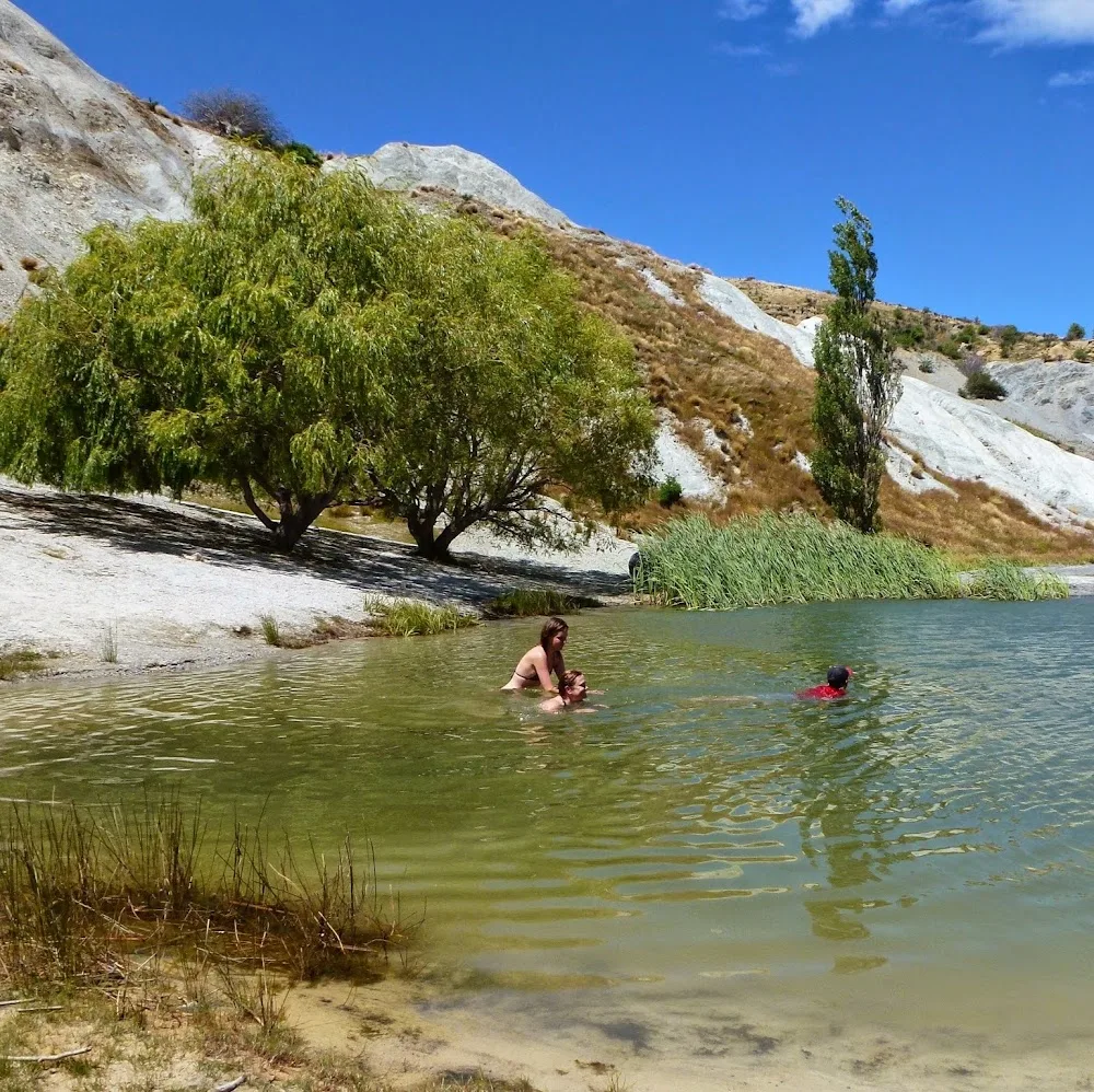 Central Otago Feline Lodge - Otago pet otel