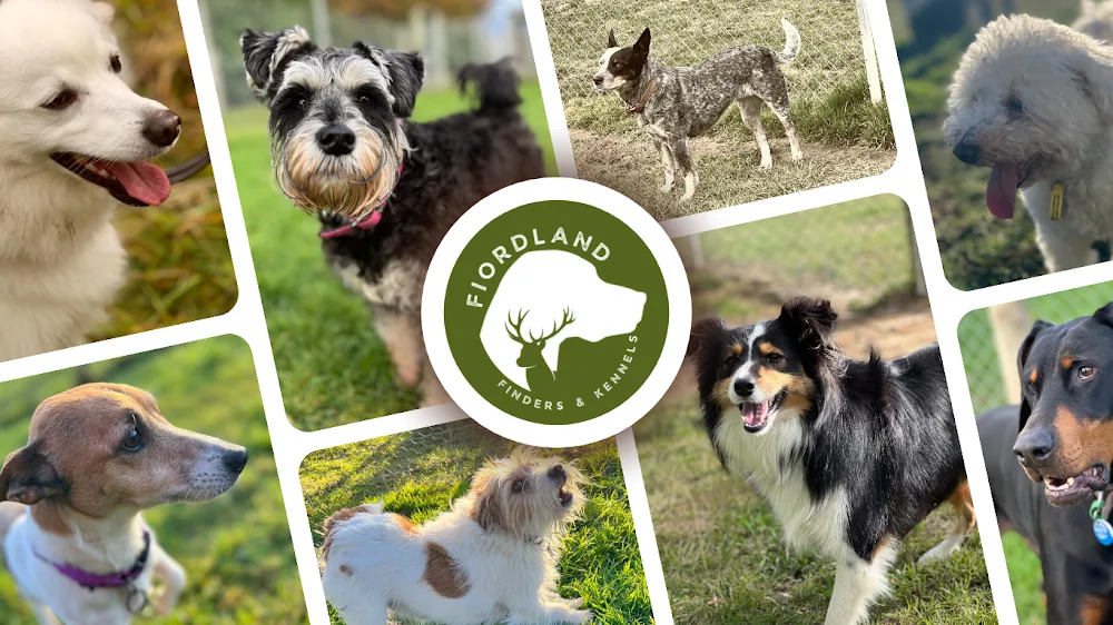Fiordland Kennels - Otago pet otel