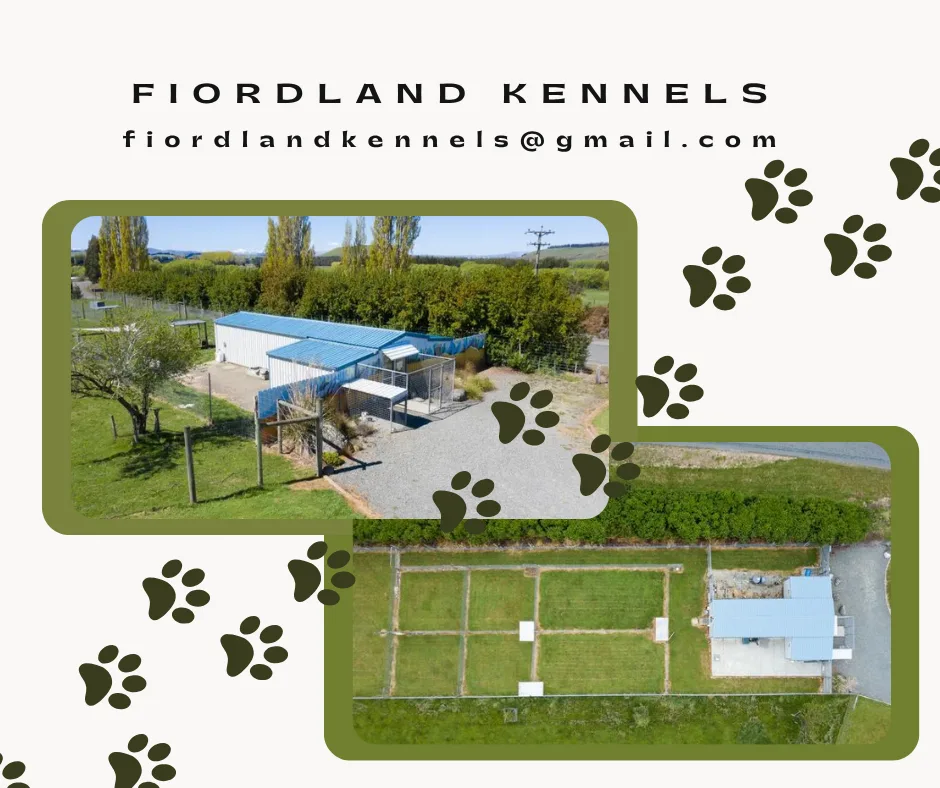 Fiordland Kennels - Otago pet otel görseli 3