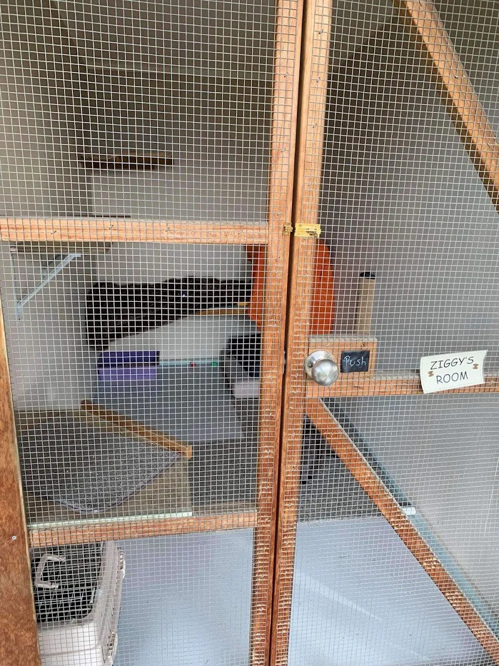 Helensbrook Cattery - Otago pet otel