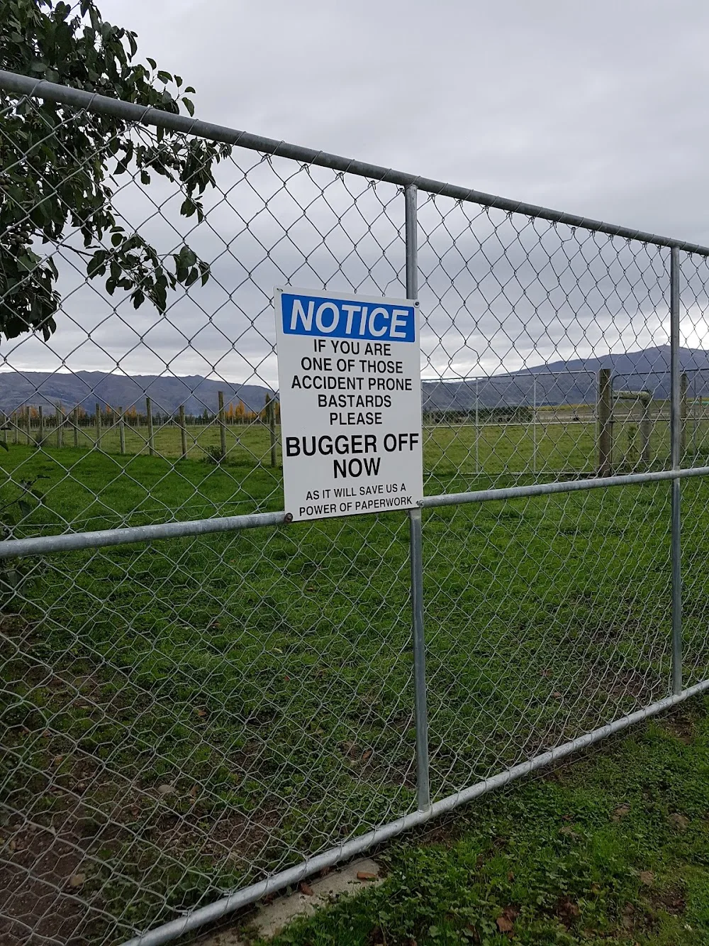 K 9 B & B Boarding Kennels - Otago pet otel