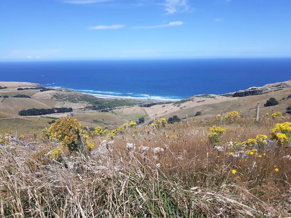Penzance Kennels & Cattery - Otago pet otel