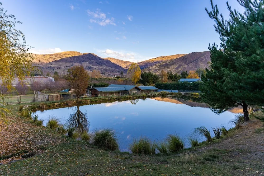 Ripponvale Pet Retreat - Otago pet otel