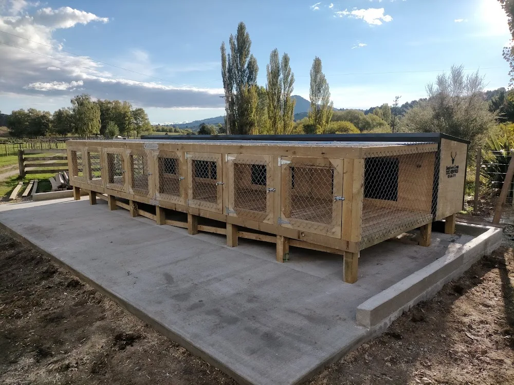 Southern Cross Dog Kennels - Otago pet otel