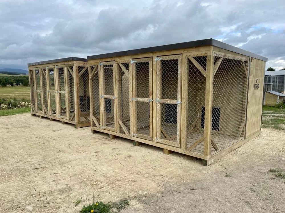 Southern Cross Dog Kennels - Otago pet otel görseli 3