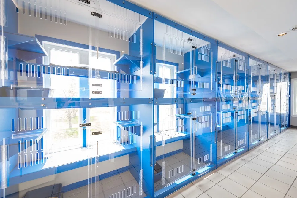 Bekkers Pet Care - Ottawa pet otel görseli 5