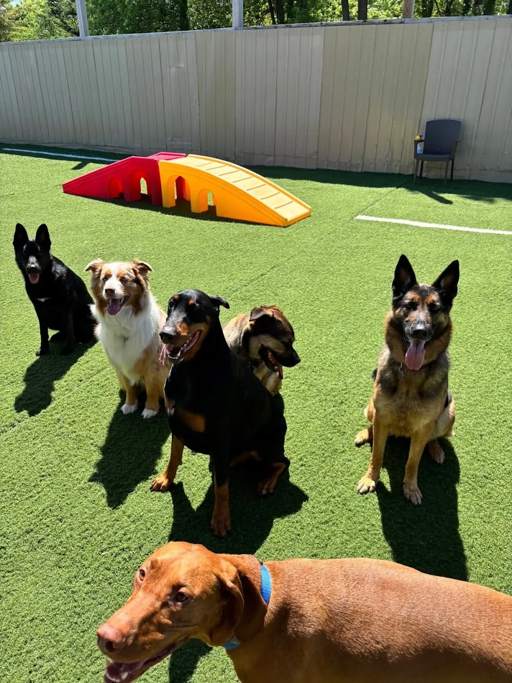 Eastway Pet Resort (Navan) Inc - Ottawa pet otel