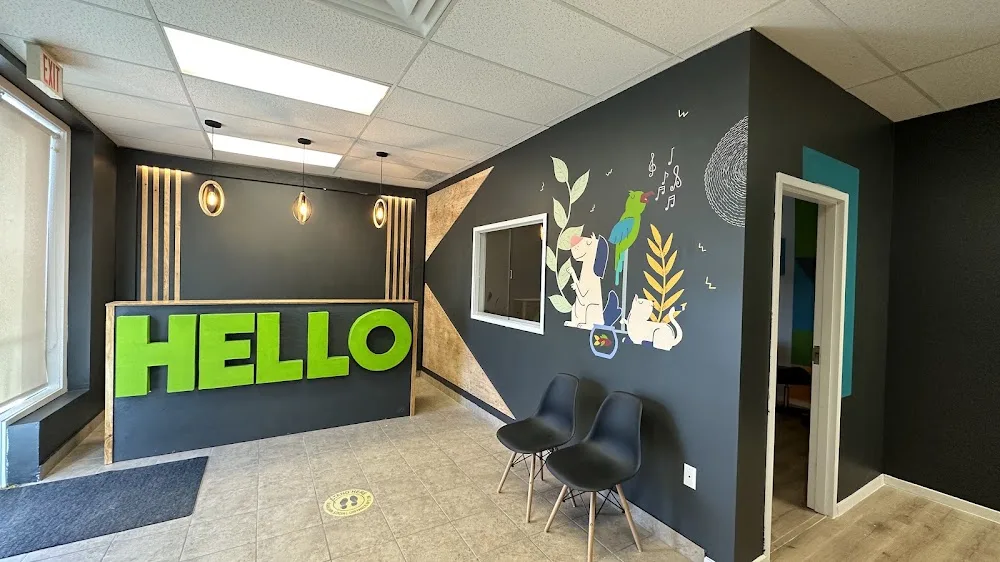 Furry Funville Dog Daycare and Grooming - Ottawa pet otel