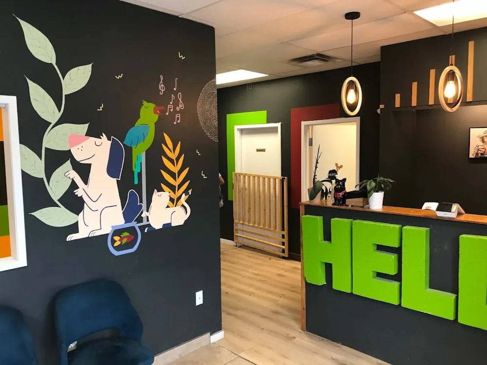 Furry Funville Dog Daycare and Grooming - Ottawa pet otel görseli 3
