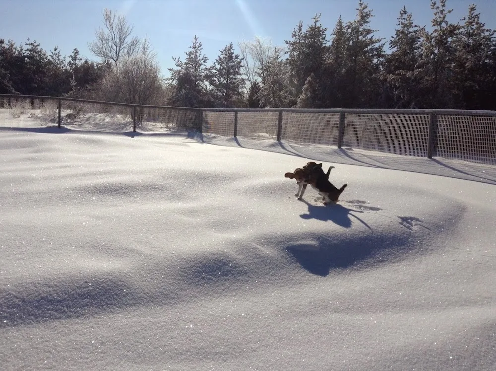 Matthews Kennels - Ottawa pet otel görseli 2