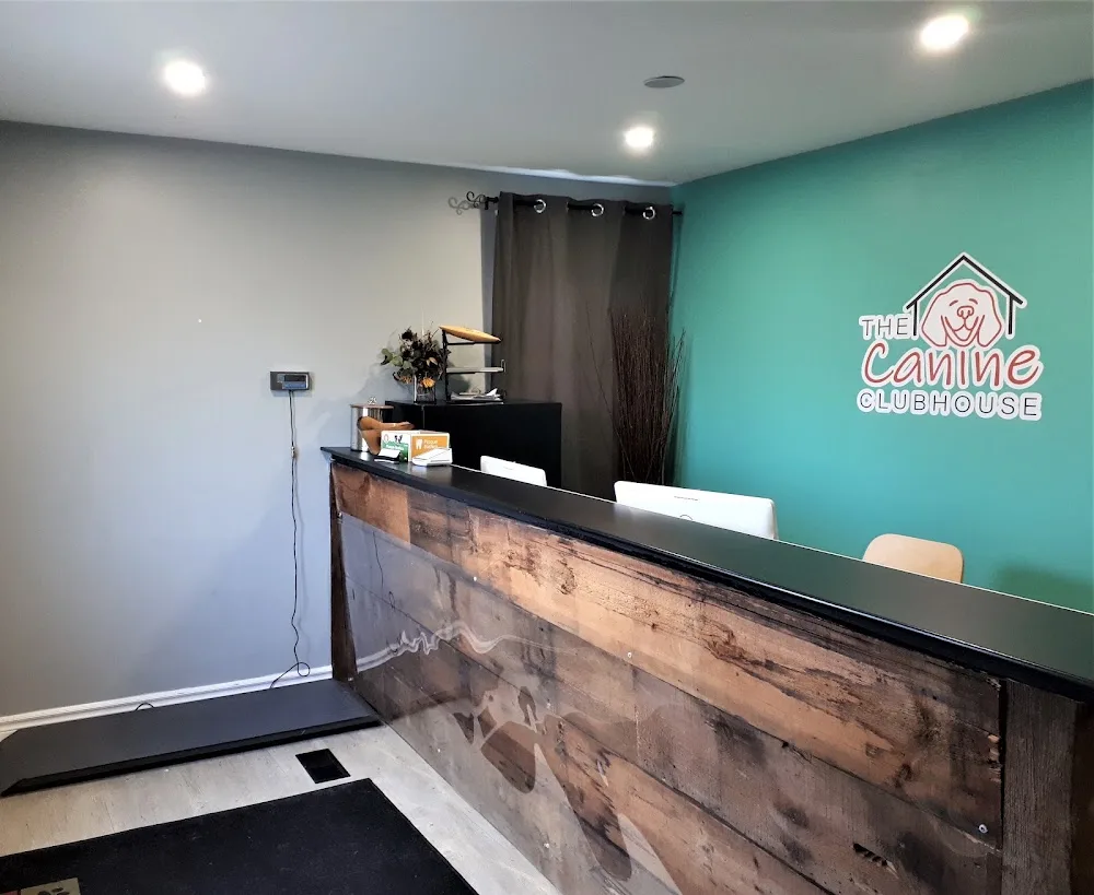 The Canine Clubhouse - Ottawa pet otel