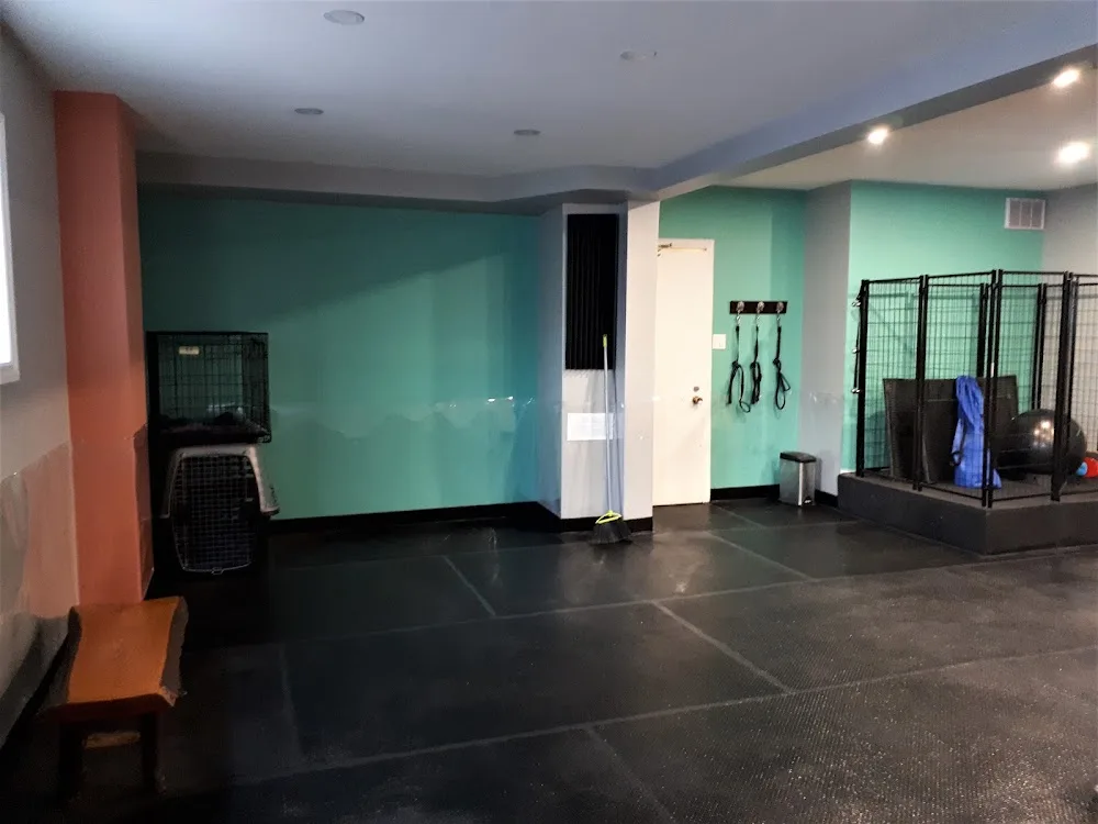 The Canine Clubhouse - Ottawa pet otel görseli 3