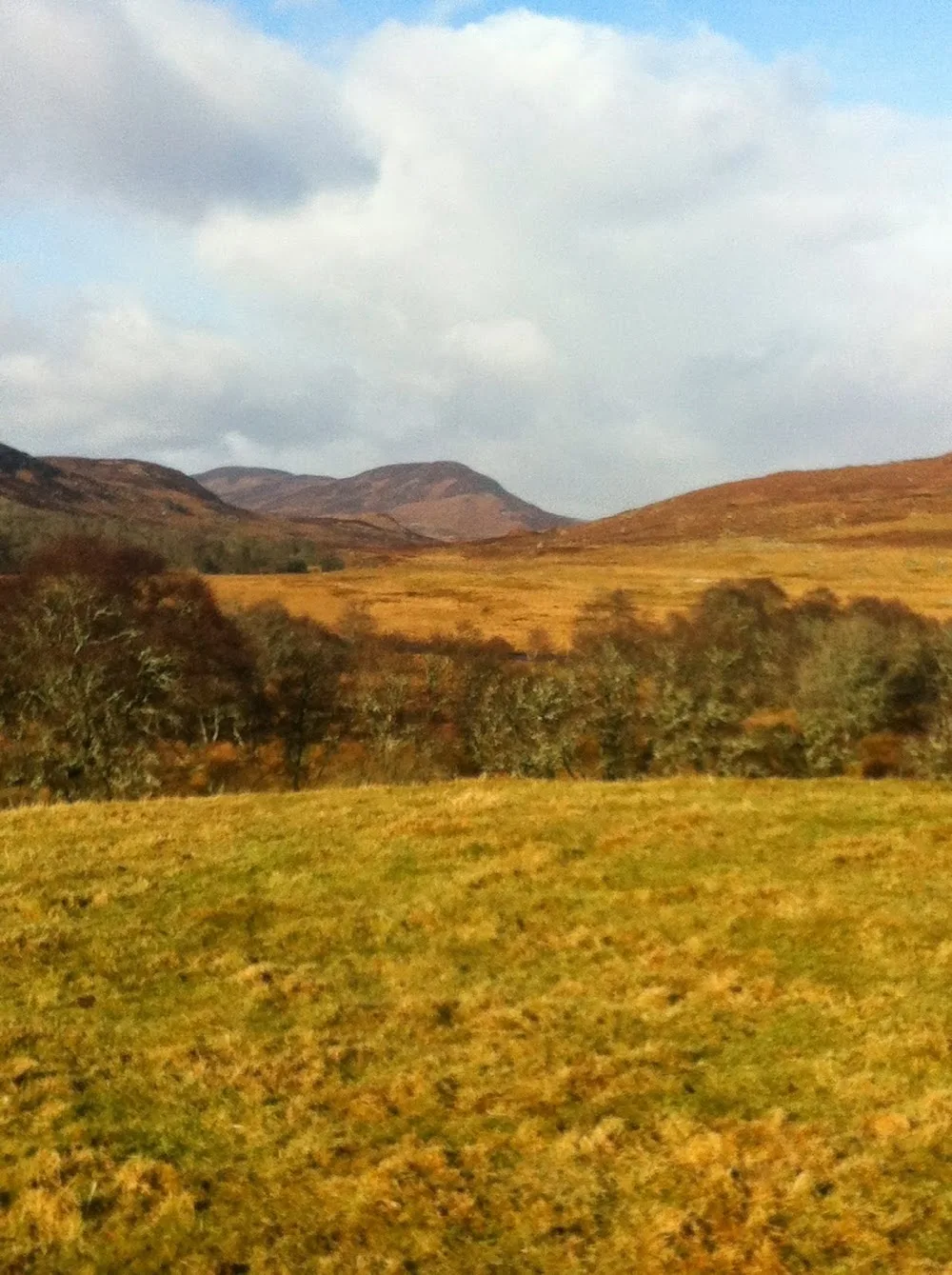 Banscol Kennels - Outer Hebrides pet otel görseli 2